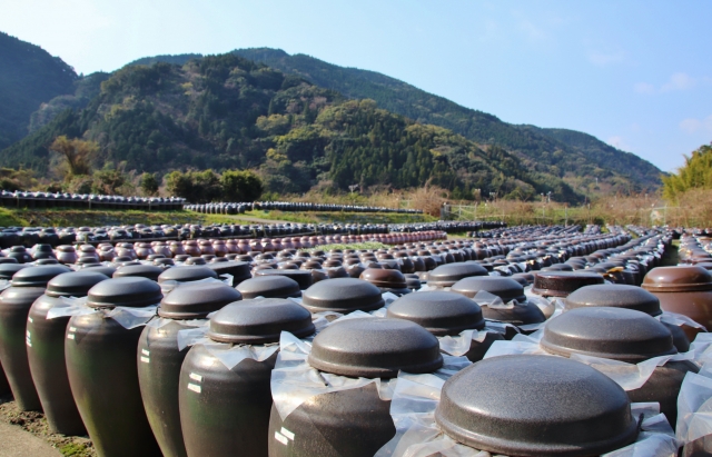 単なるお酢だと言ってあなどれない⁉黒酢に秘められたパワー！