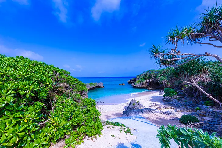 ”嫌い”という感情は脳が判断している心の声　私らしく生きるコツ