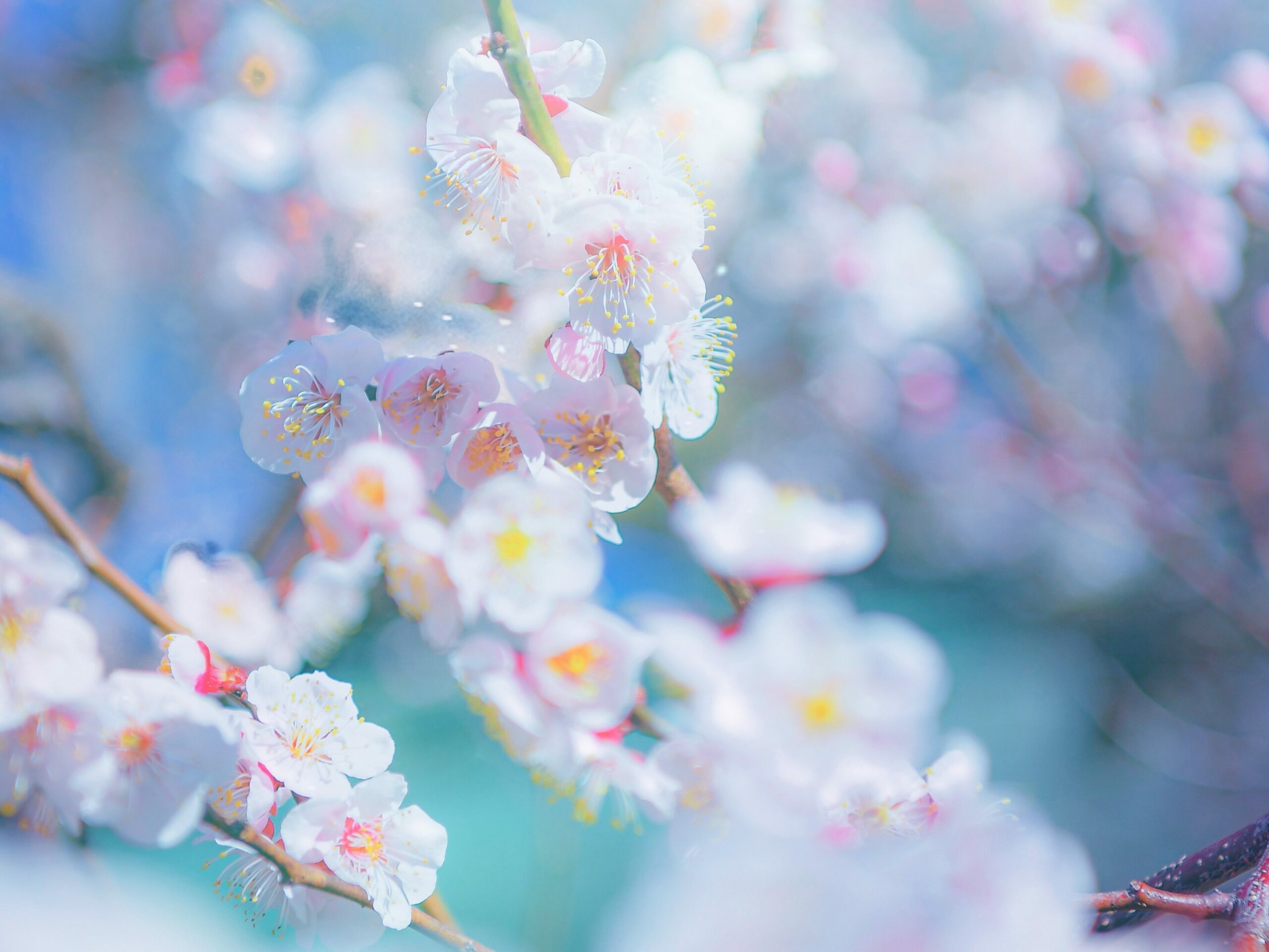 思い返せば最悪な1日でも幸せがある？