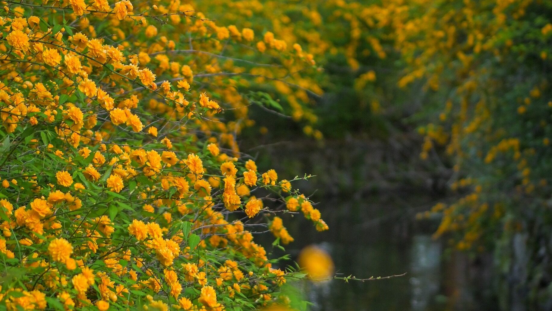 自分の目に見えるものだけが大切？