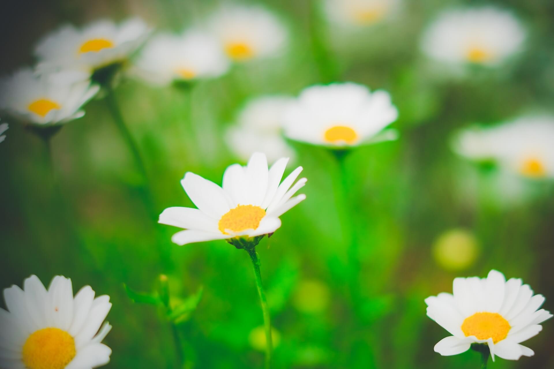 悩み続ける人生を変えるために