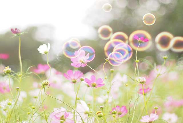 どんなことも誰かに頼ってみることで