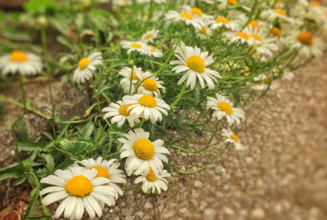 嫌なこと、苦手なことでもやってみる！