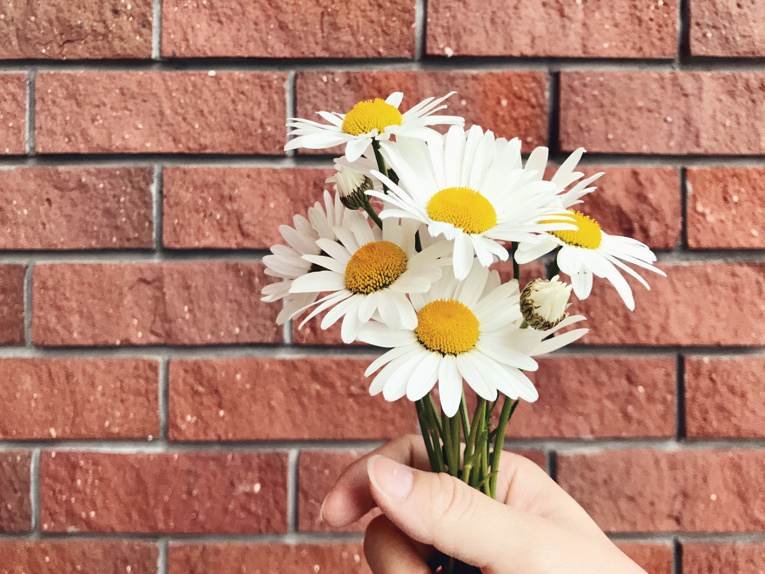 少しでも自分をよく見せたくなるけれど