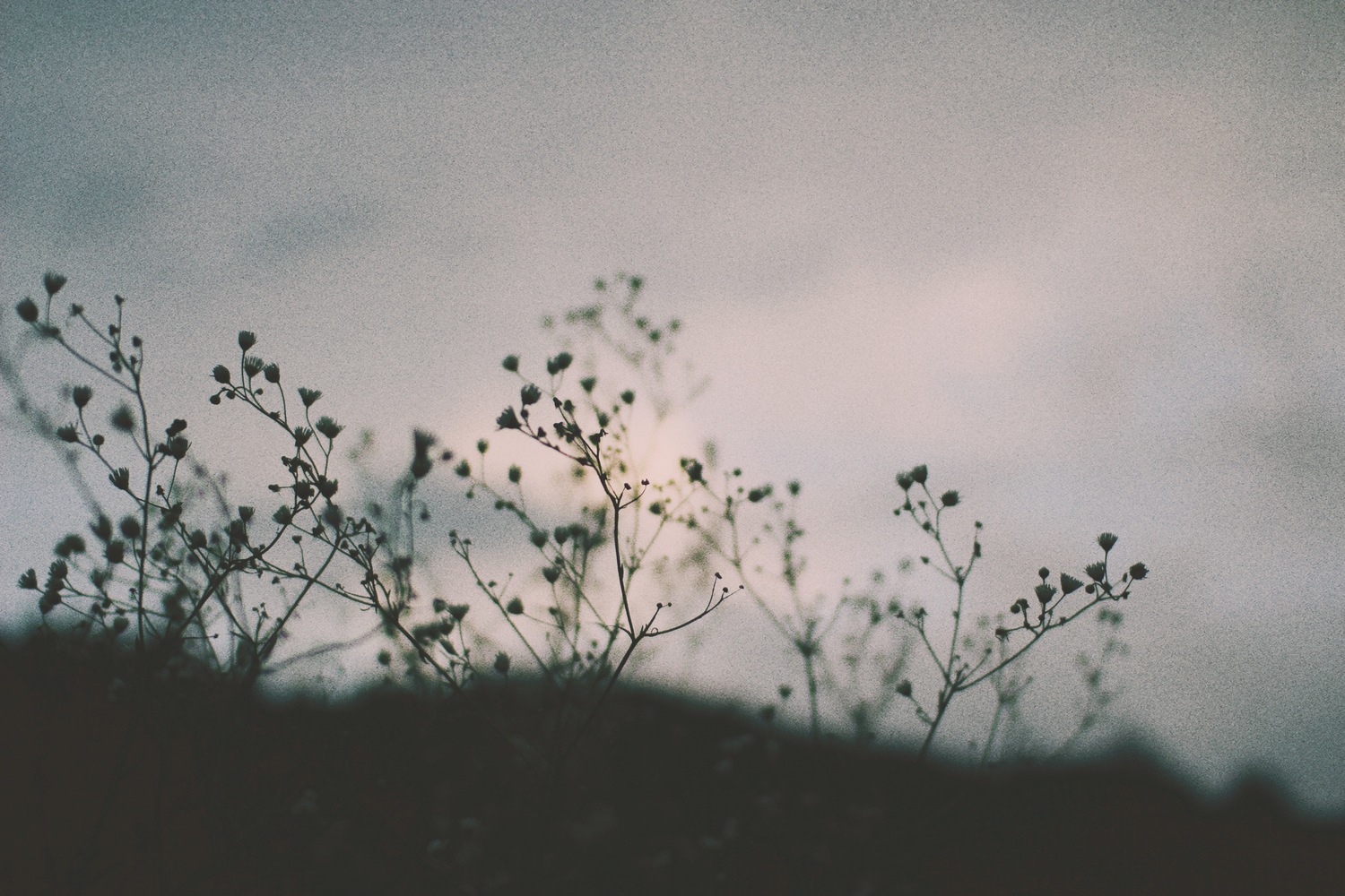 たくさんの“分からない”ことに対して