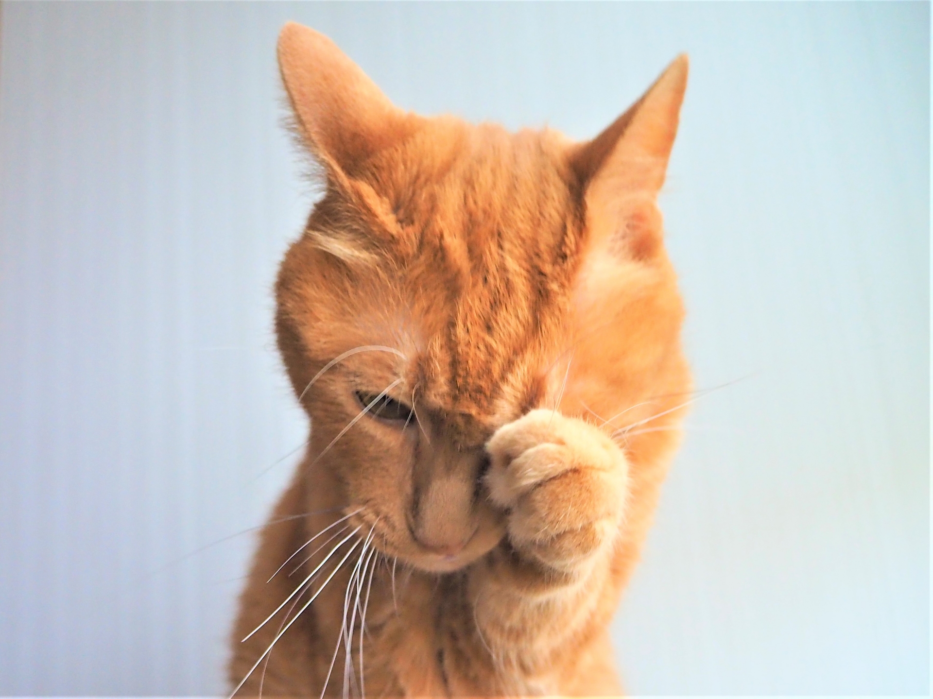 目をこすらないで！網膜剥離に要注意