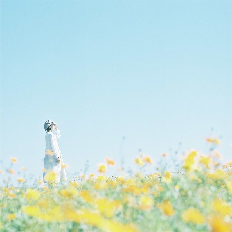 黄色い花畑にいる女性