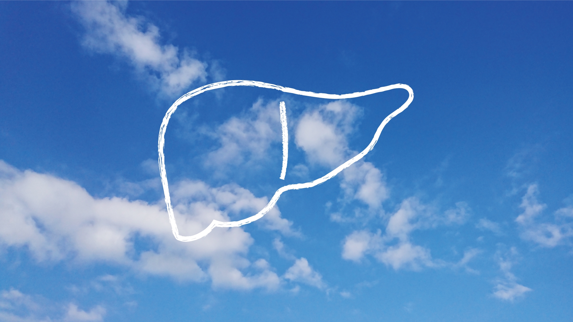 健康になろう！肝臓の働きとケア