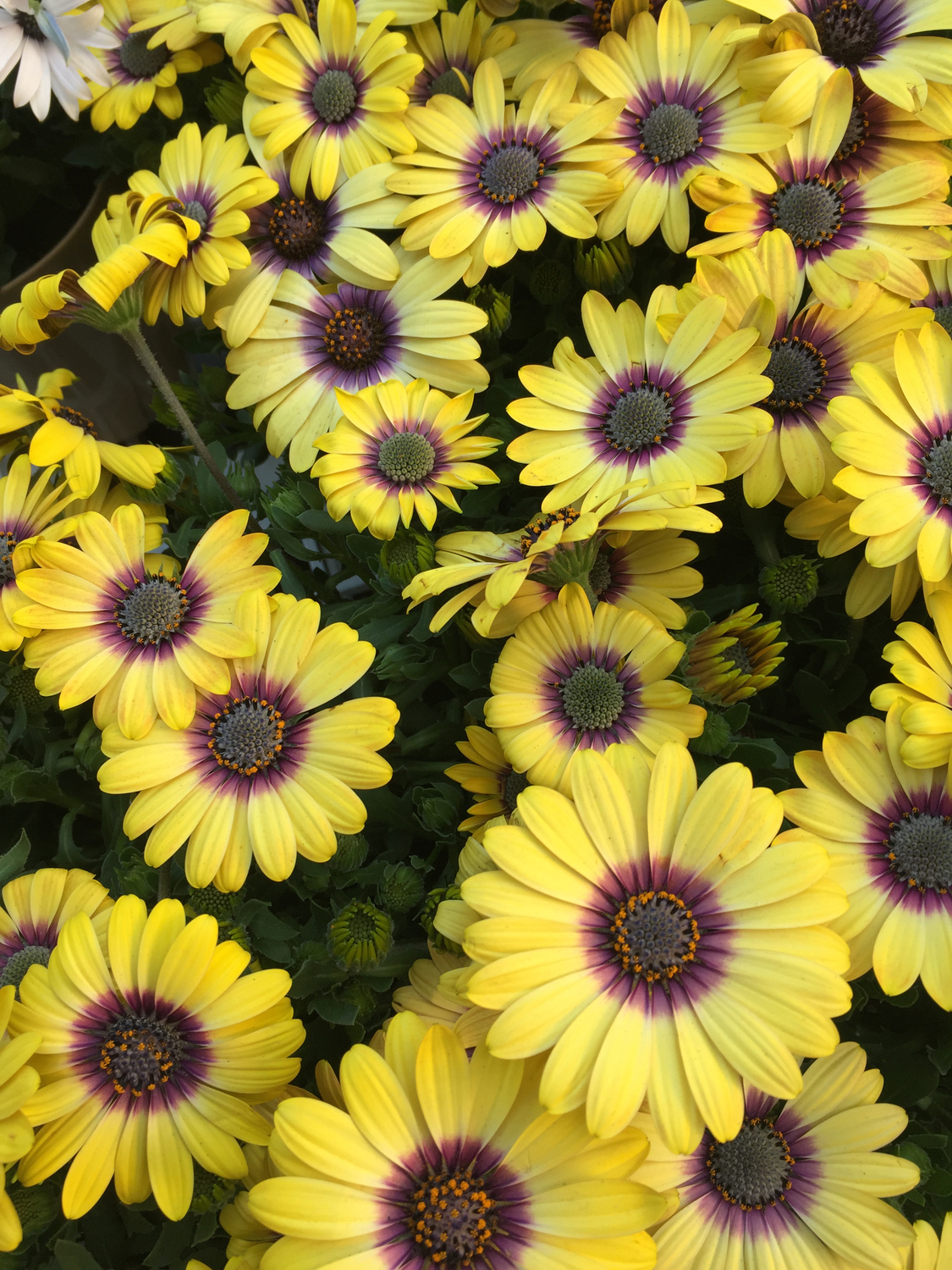 何も変わらない毎日に