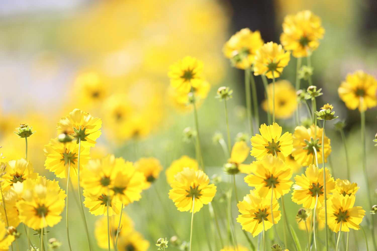 頑張ることは決して簡単ではない