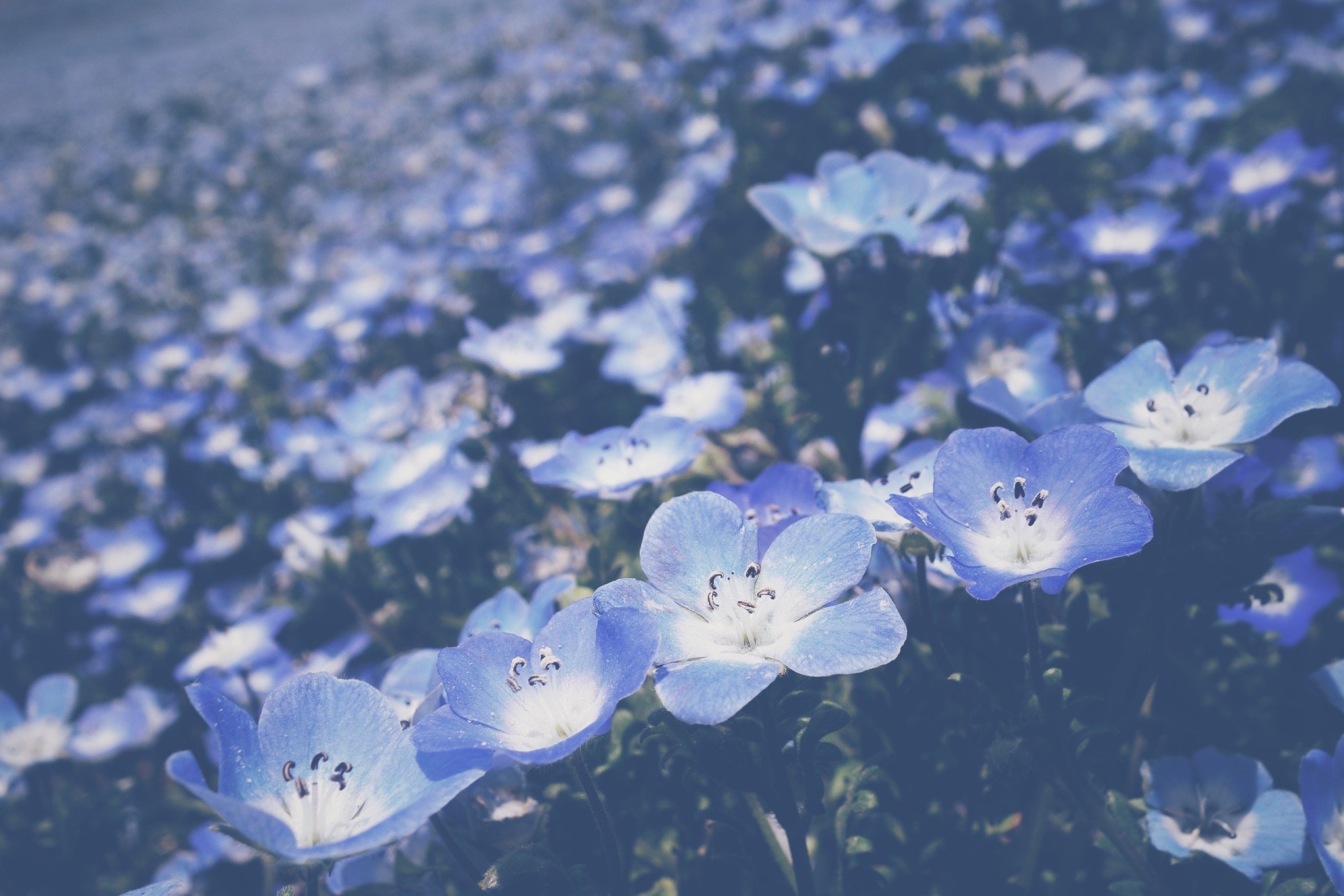 限られている時間のなかで、今すぐやってみる！