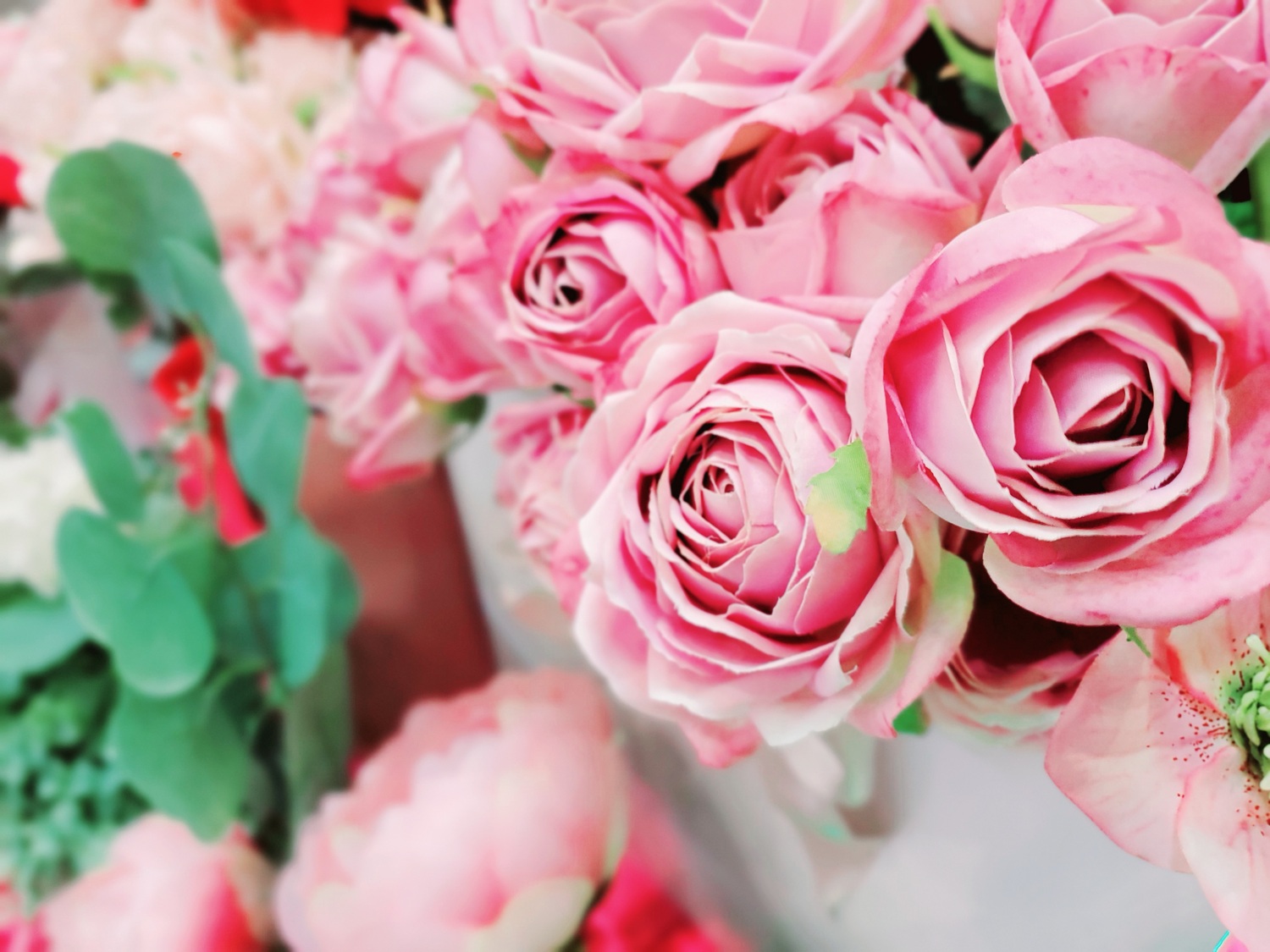 ピンク色のバラ