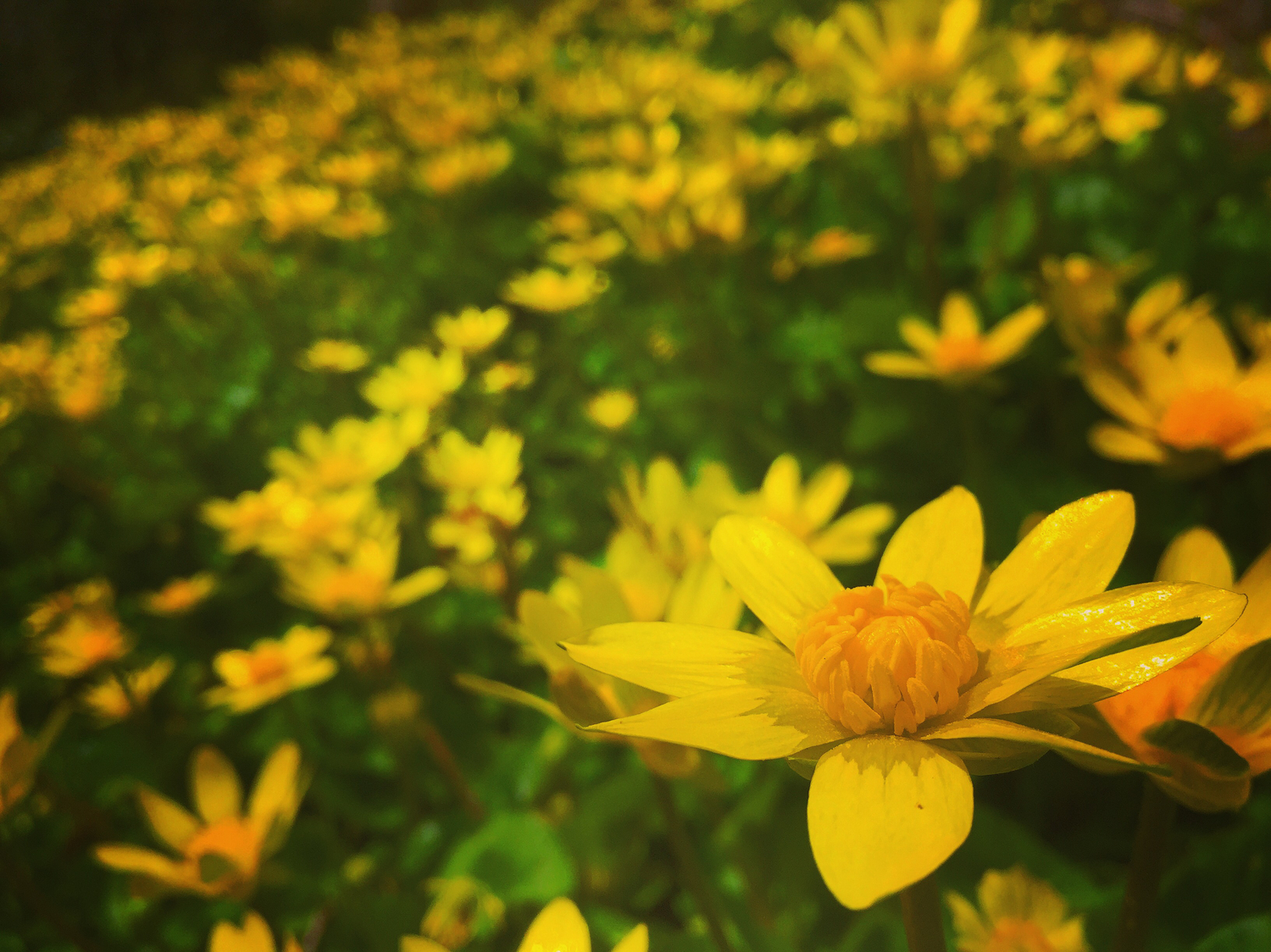 悩んでいる人に対してできること…