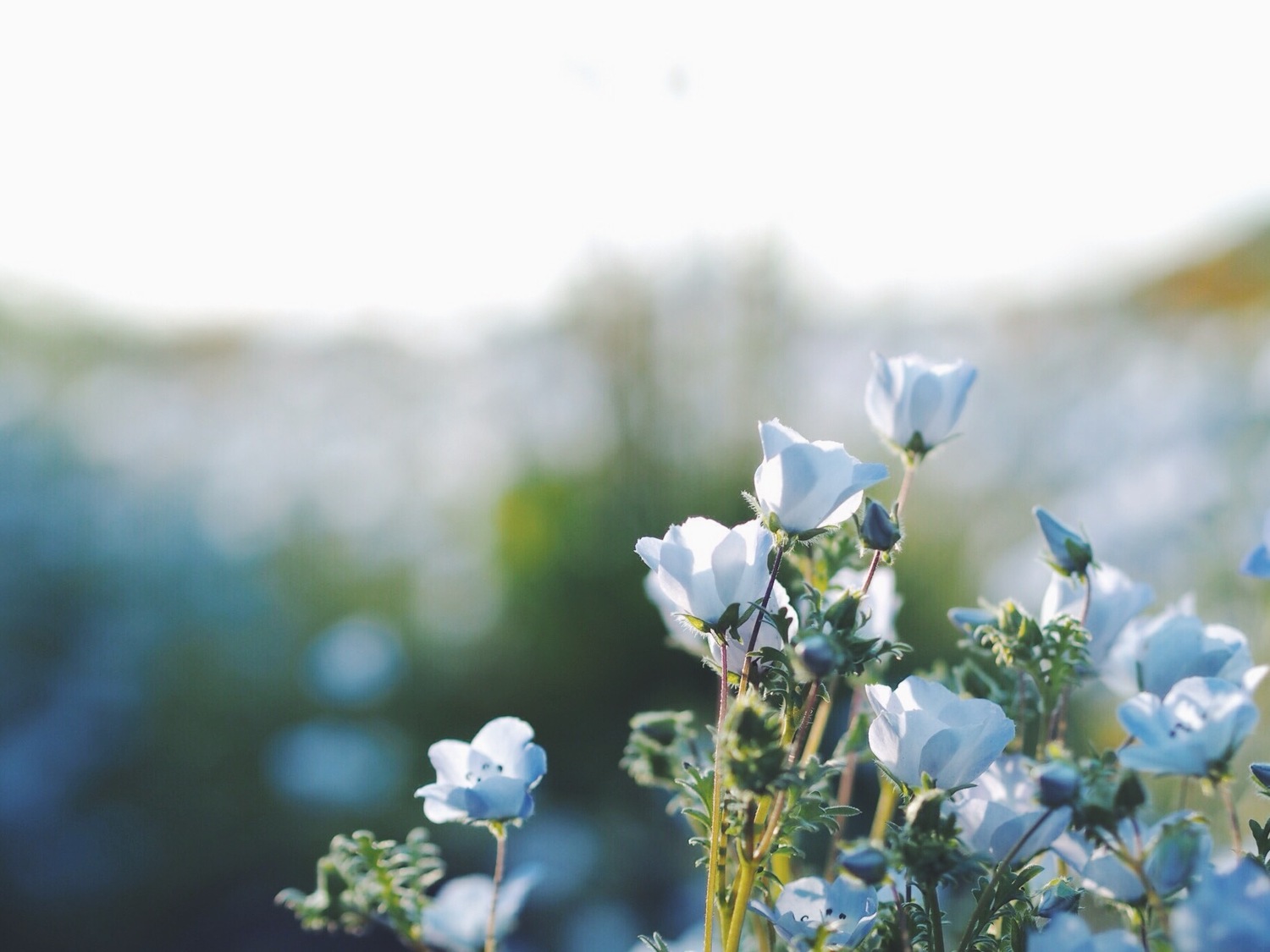誰かのためだけでなく、自分のために行動してみる