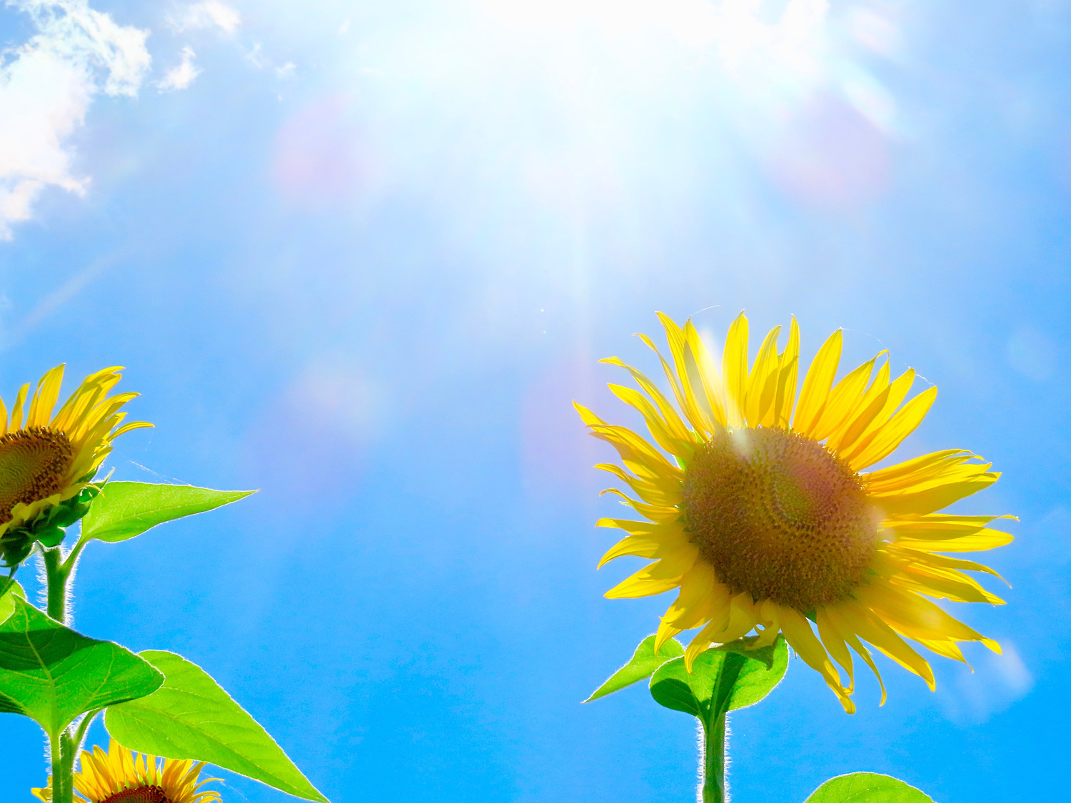 自分とは合わない、そう思えばそれでいい