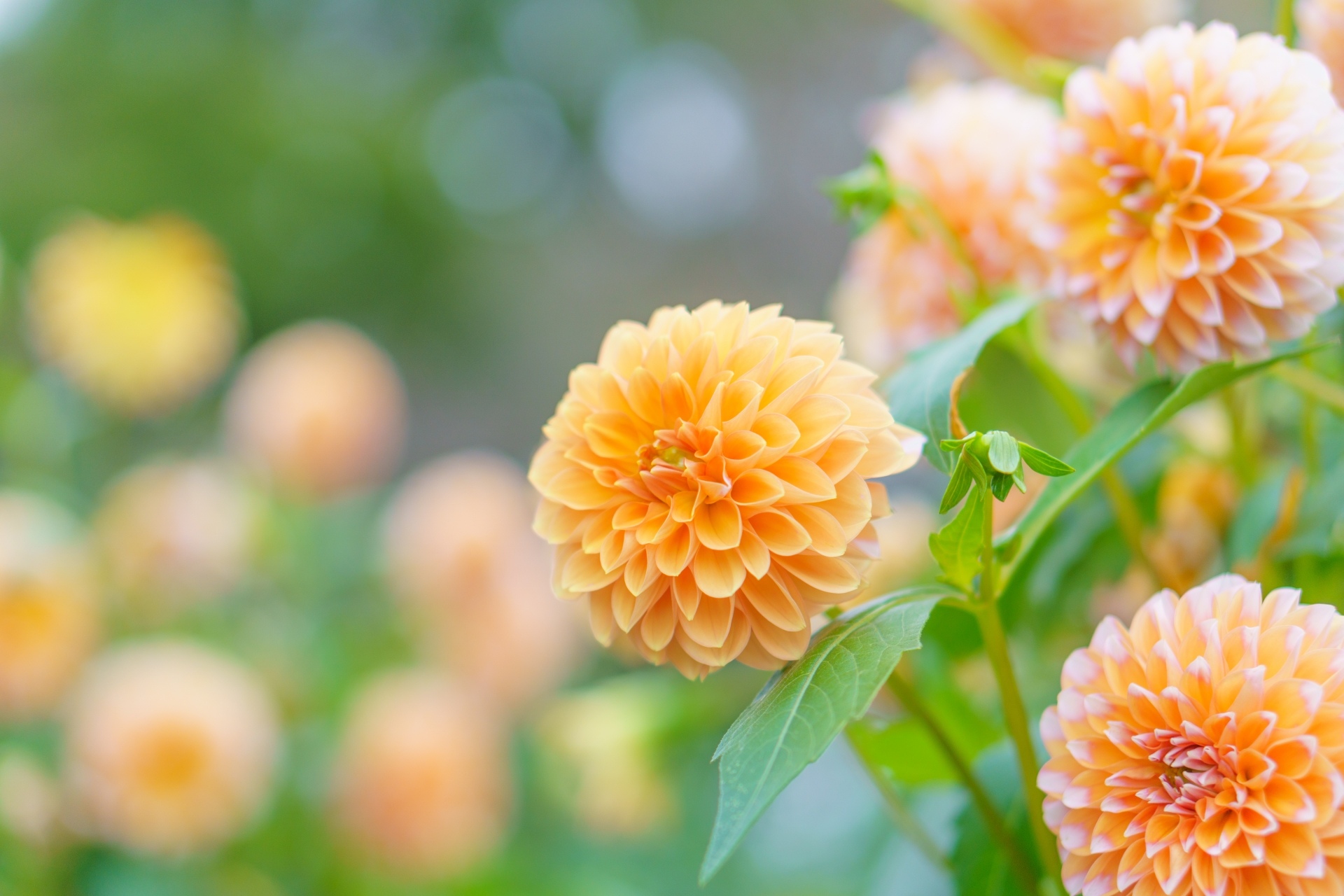 この瞬間をどう行動すべきなのか？