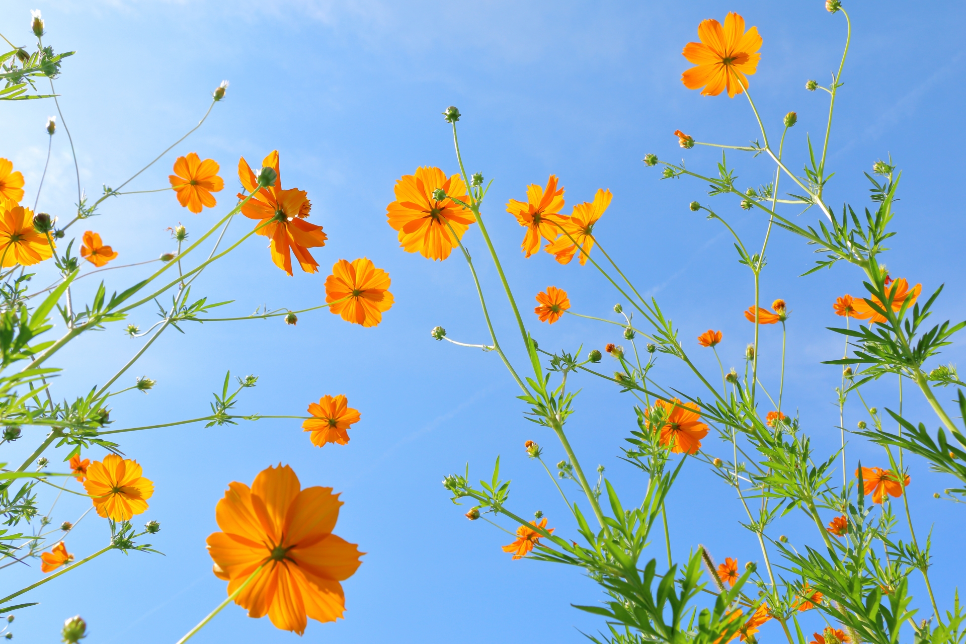 待つのではなく、自ら行動することで！