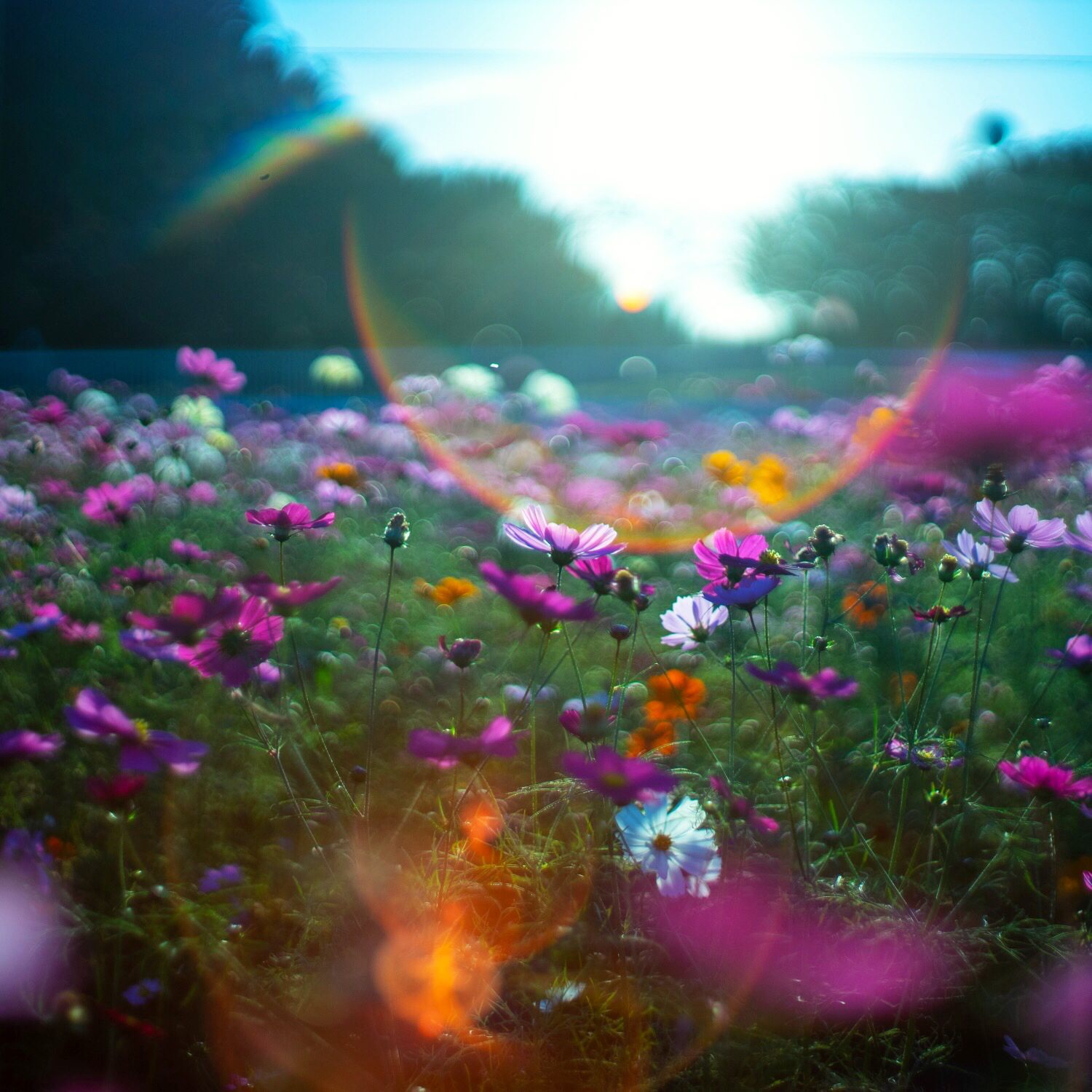 自分のことをよく見せようとするけれど・・・