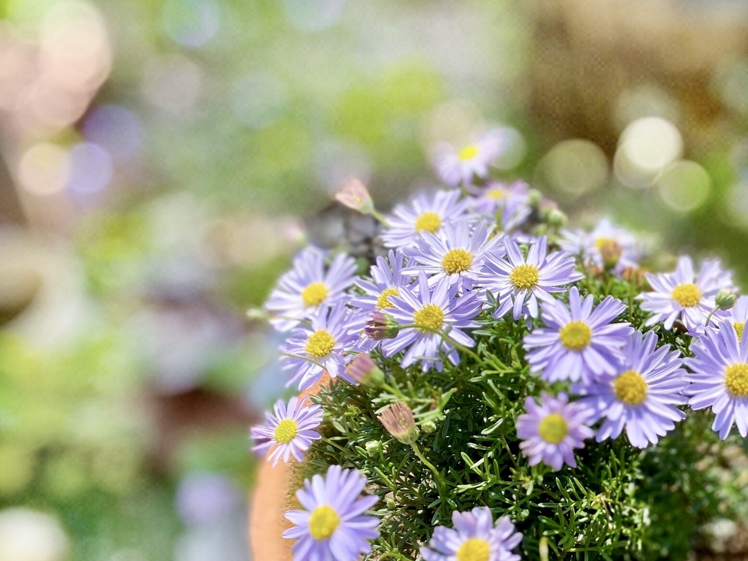 幸運は自分の気持ち次第で掴み取れるもの！？