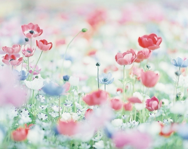 正しいか間違いかだけで判断するのでなく…