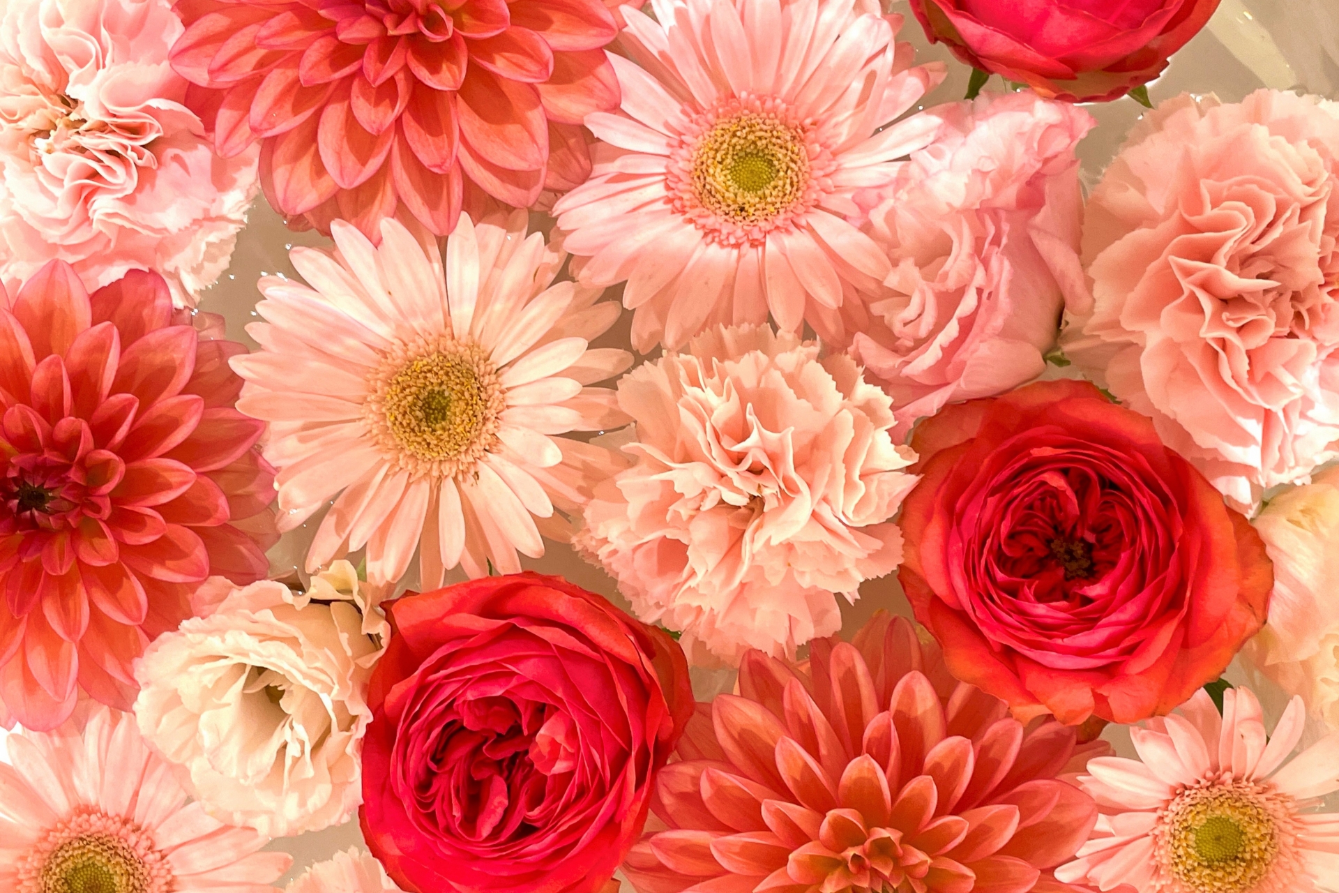 色の見え方は男女で異なる！女性の色覚は男性より繊細だった