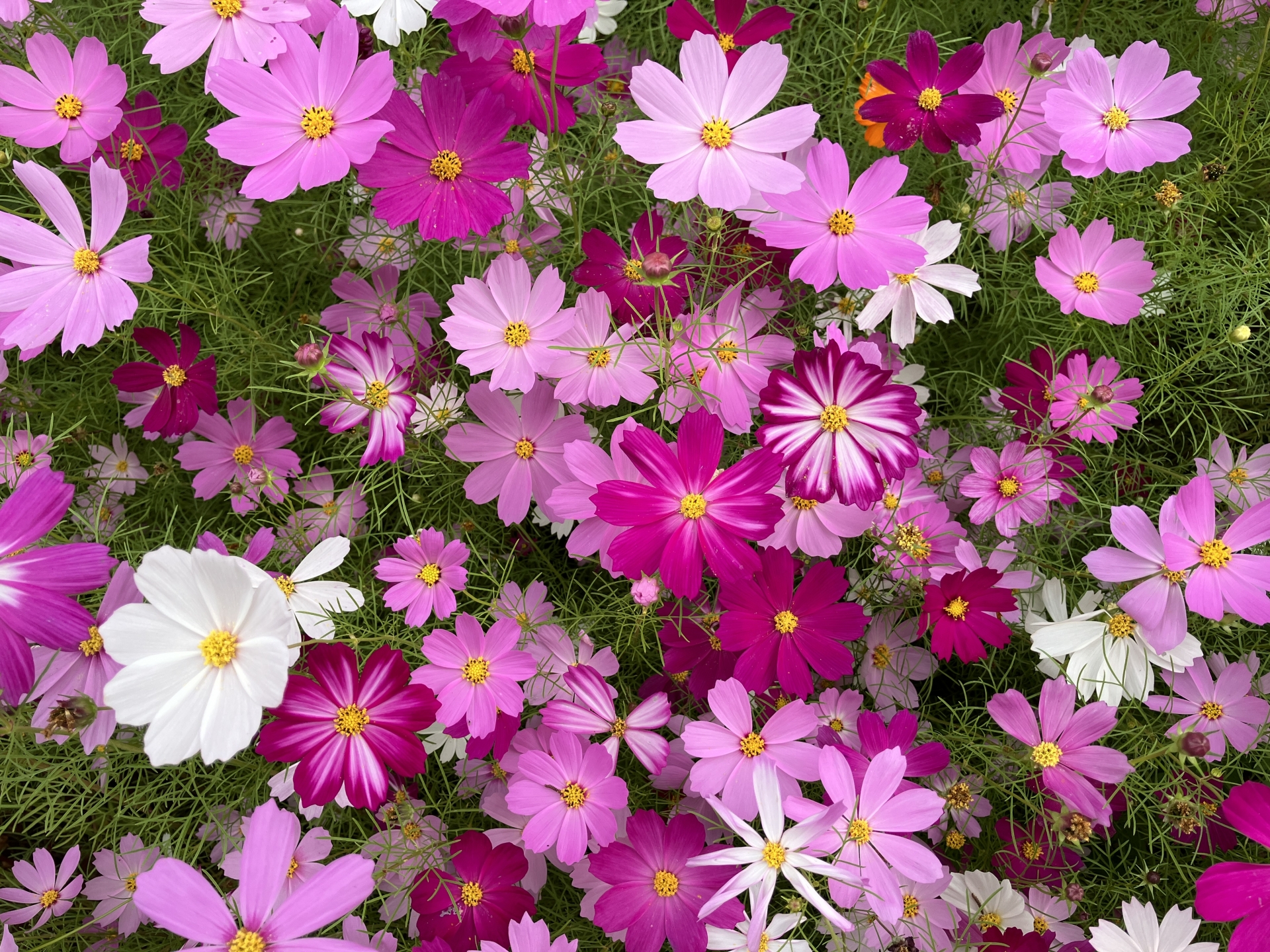 笑顔で過ごすかどうかで変わる1日