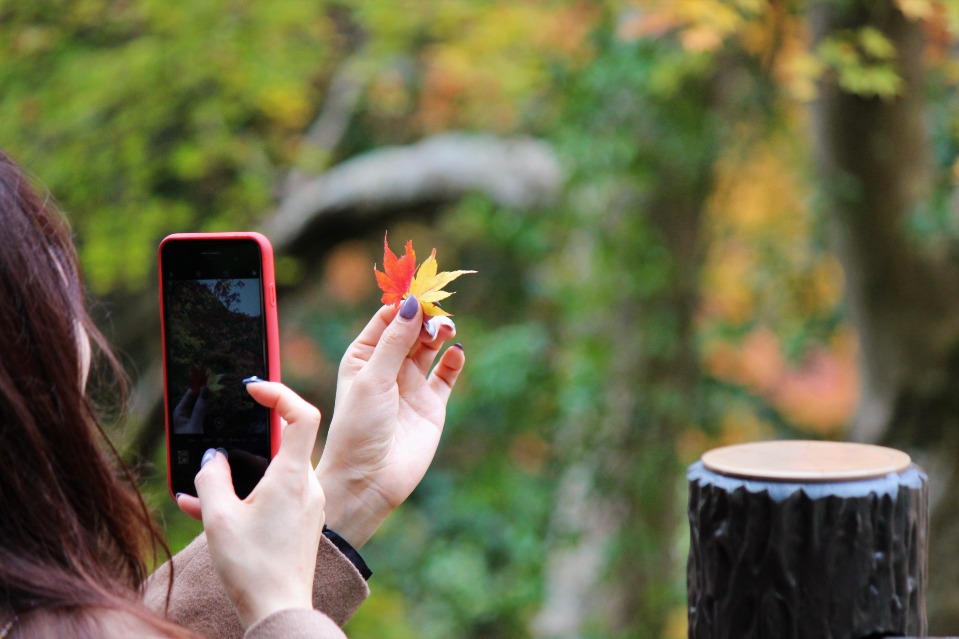 旅行がもたらす健康の鍵！3つのうれしい効果を紹介