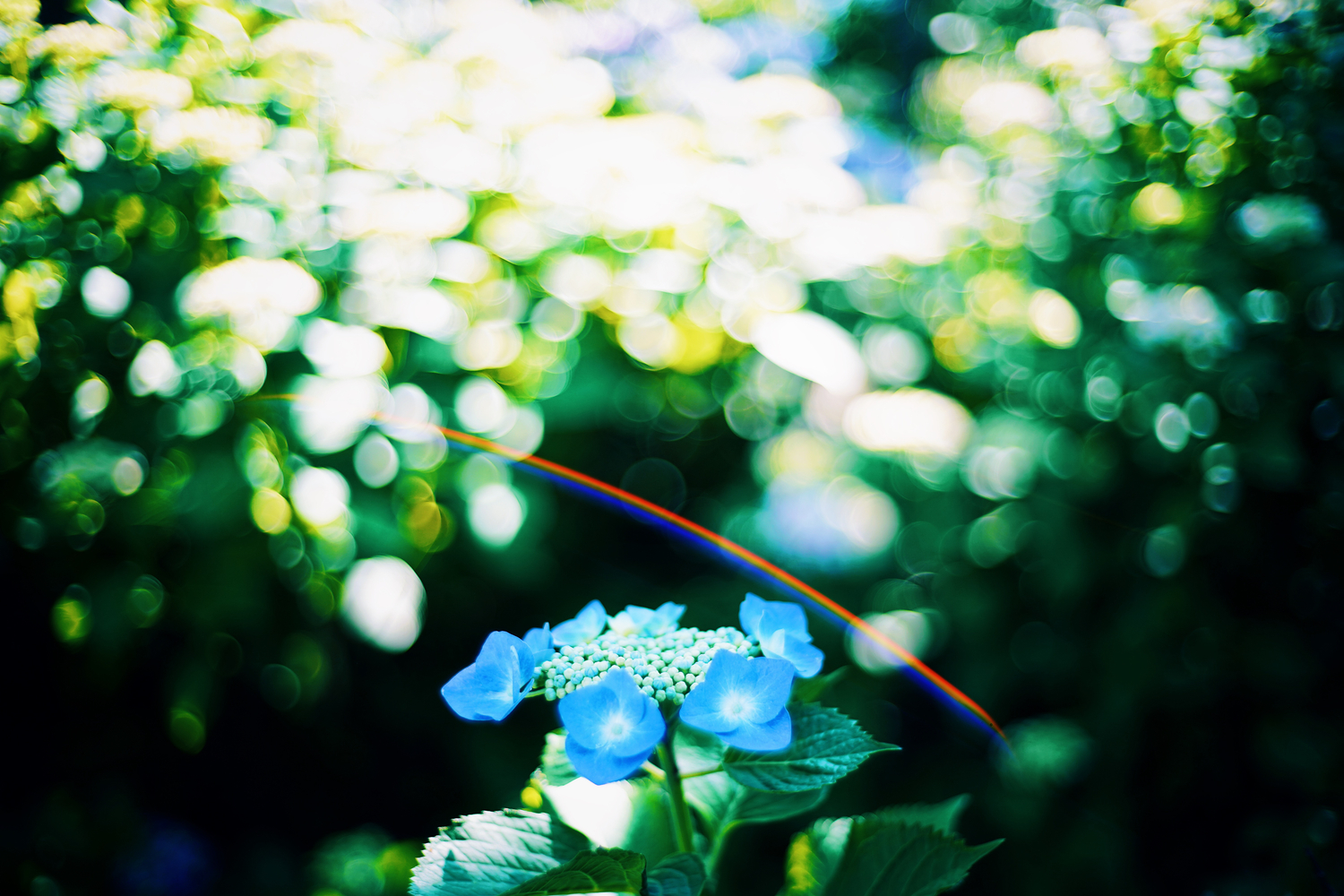 誰かに助けを求める勇気！