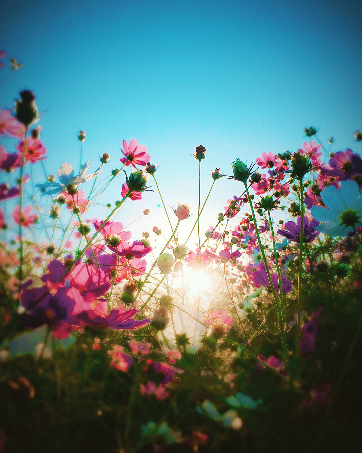 怒られることもポジティブに！