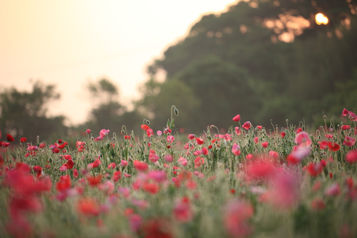 1つ1つのコトバに責任を持つことで