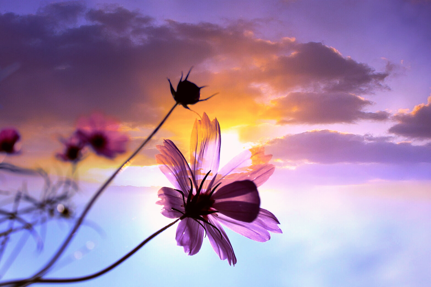 後悔がないように最後まで！！