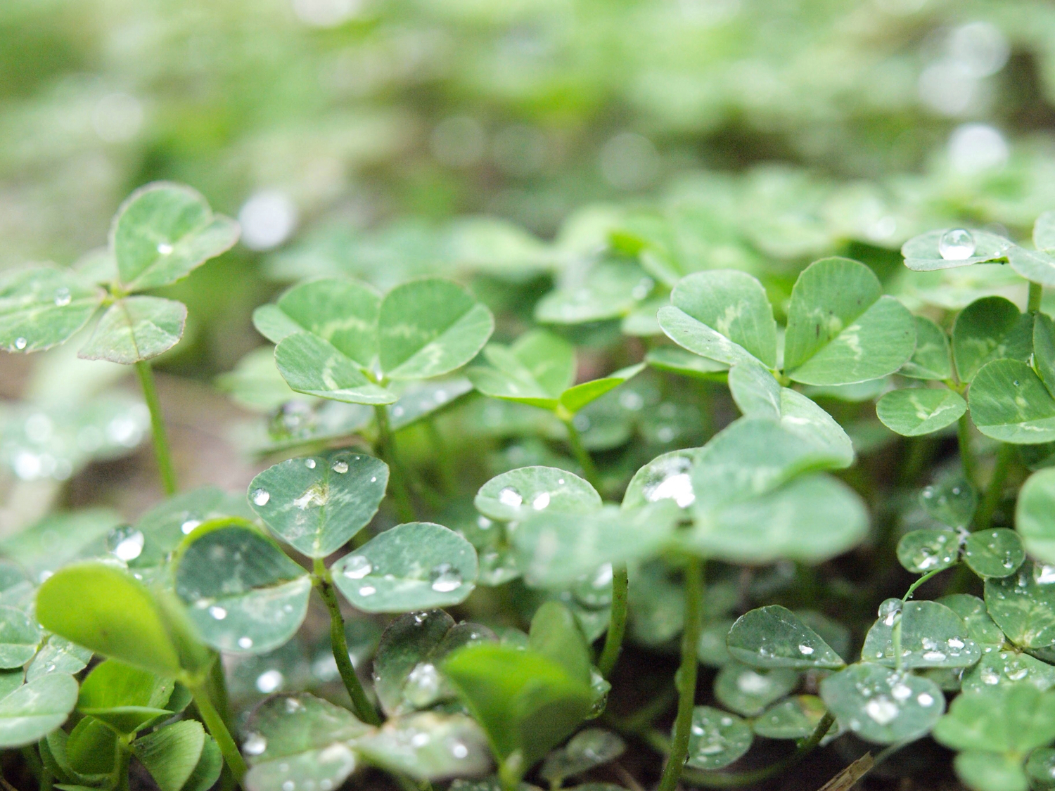 泣きたいのであればたくさん泣けばいい