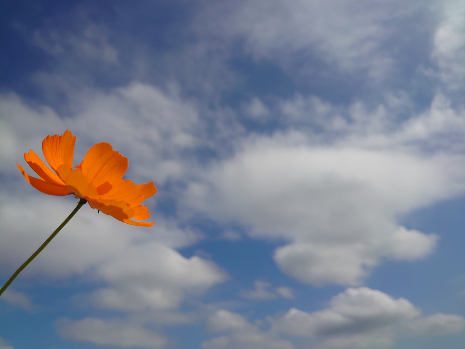 まずは相手のことを思いやり尊重することで