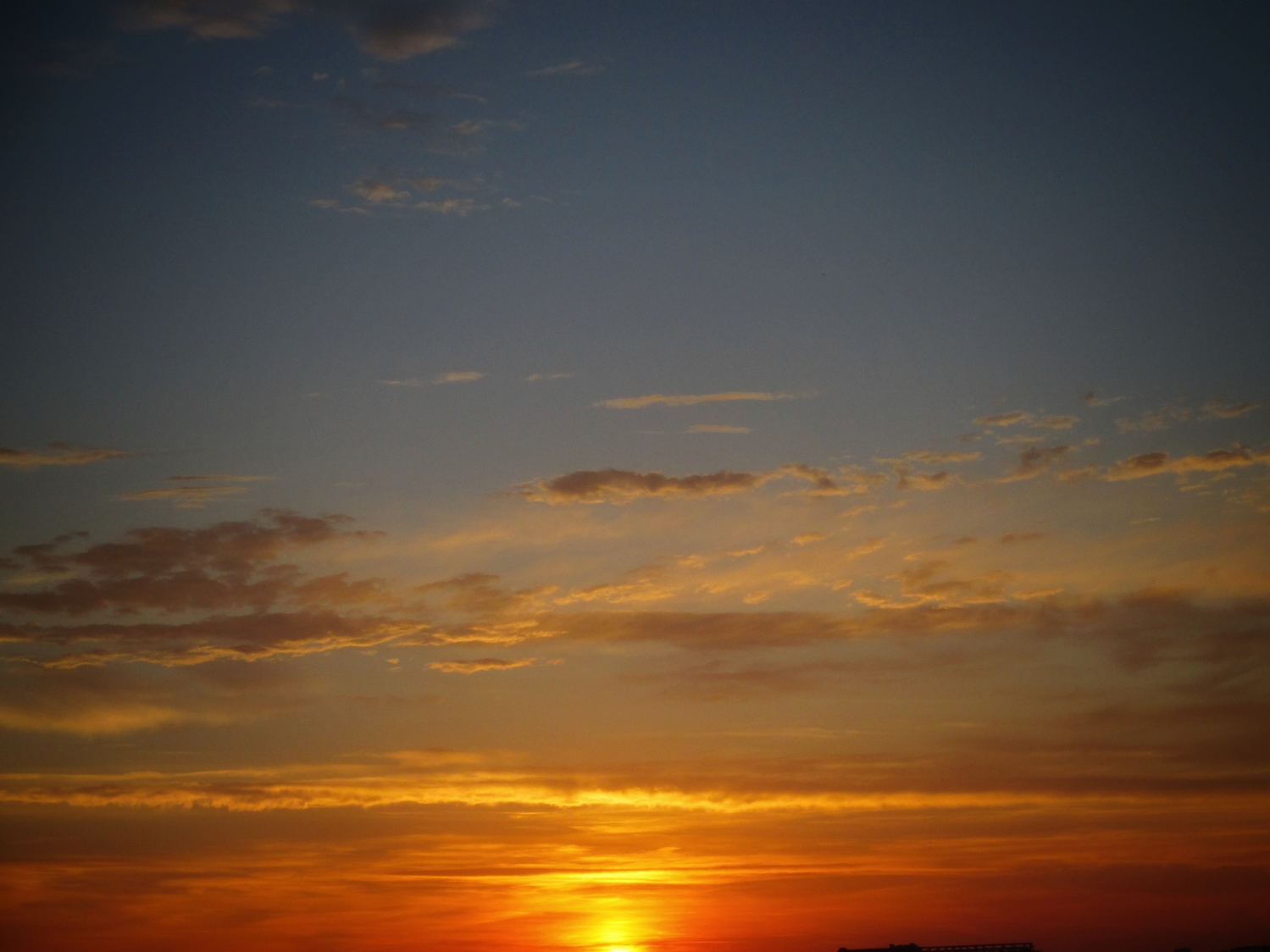 この1年を振り返ってみると…