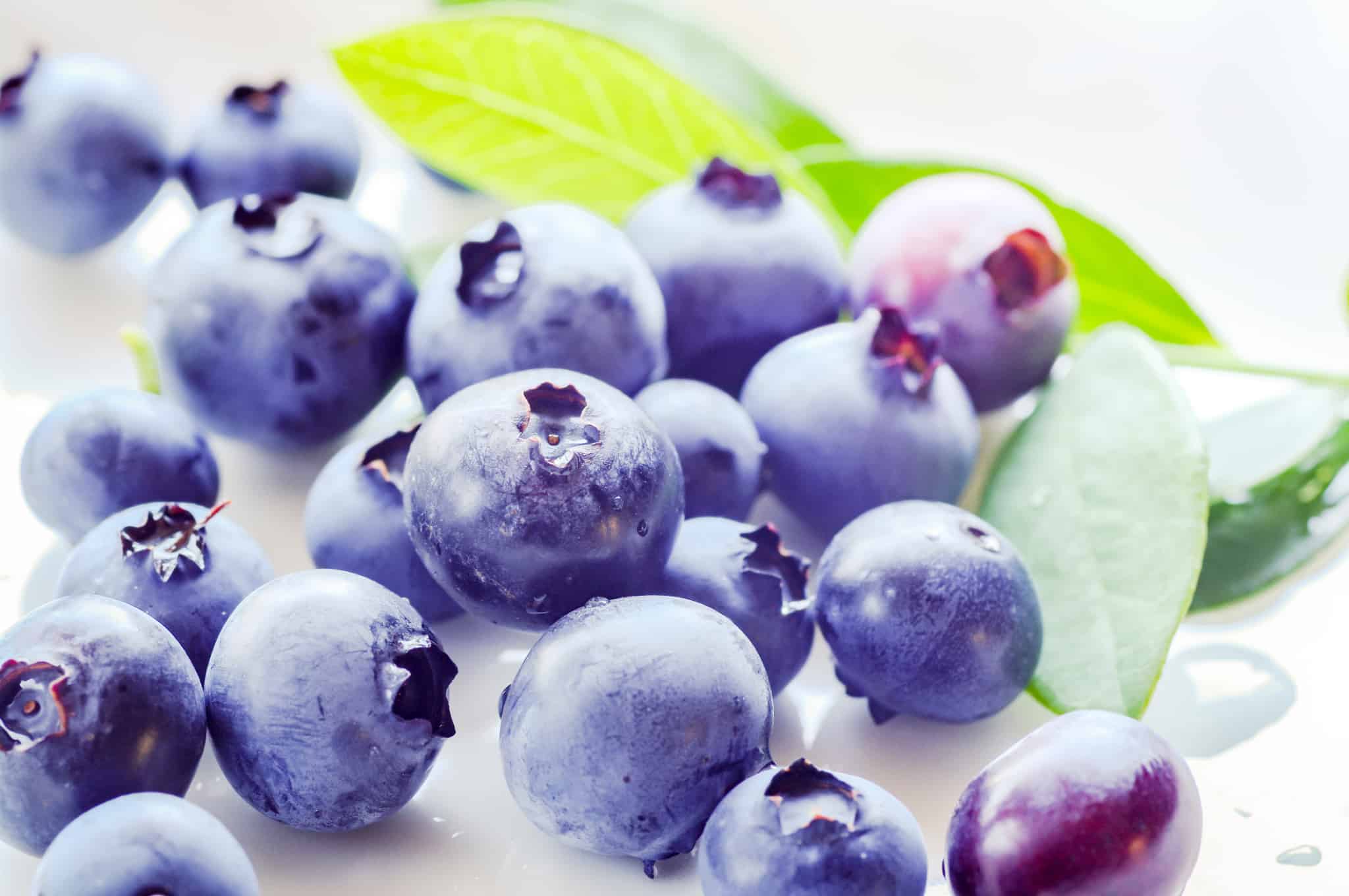 実はスーパーフード！ブルーベリーの健康効果はあらゆる研究で実証されていた！