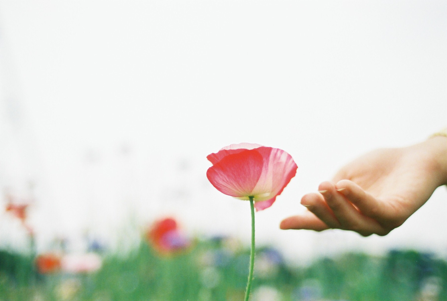 大切なものは自分の目に見えるものだけ？