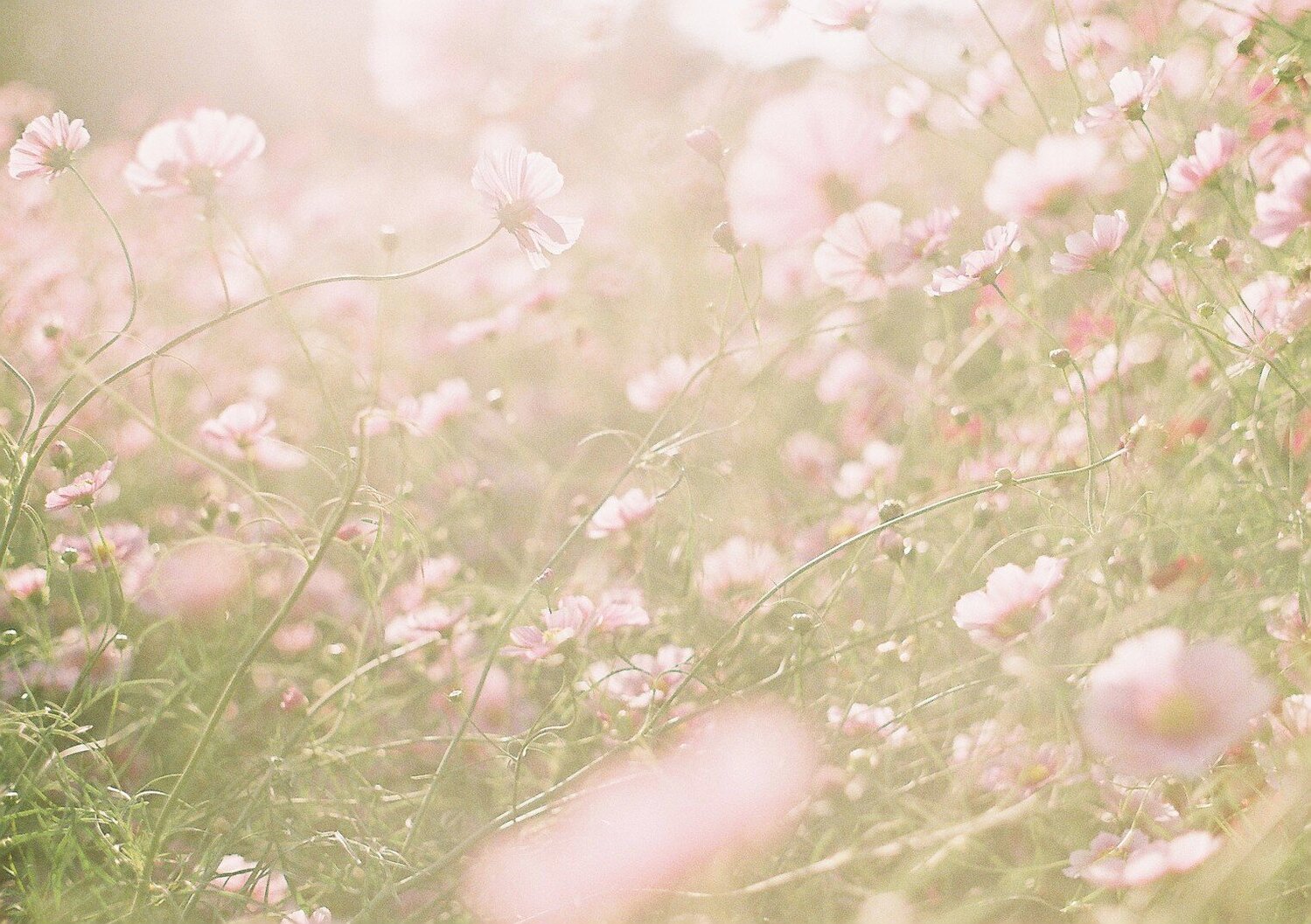 しっかり充電をしておかないと…