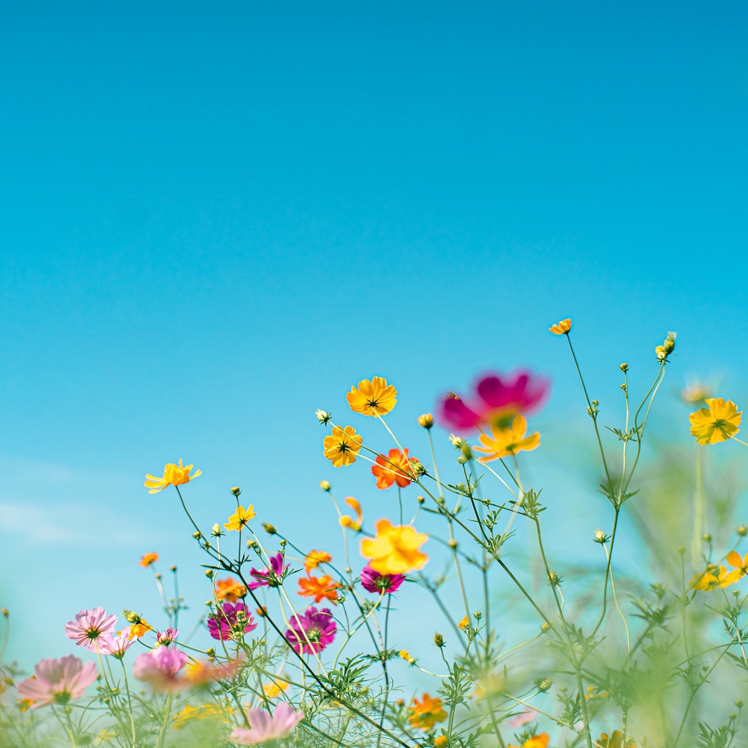 誰かに話しかけてみることで…