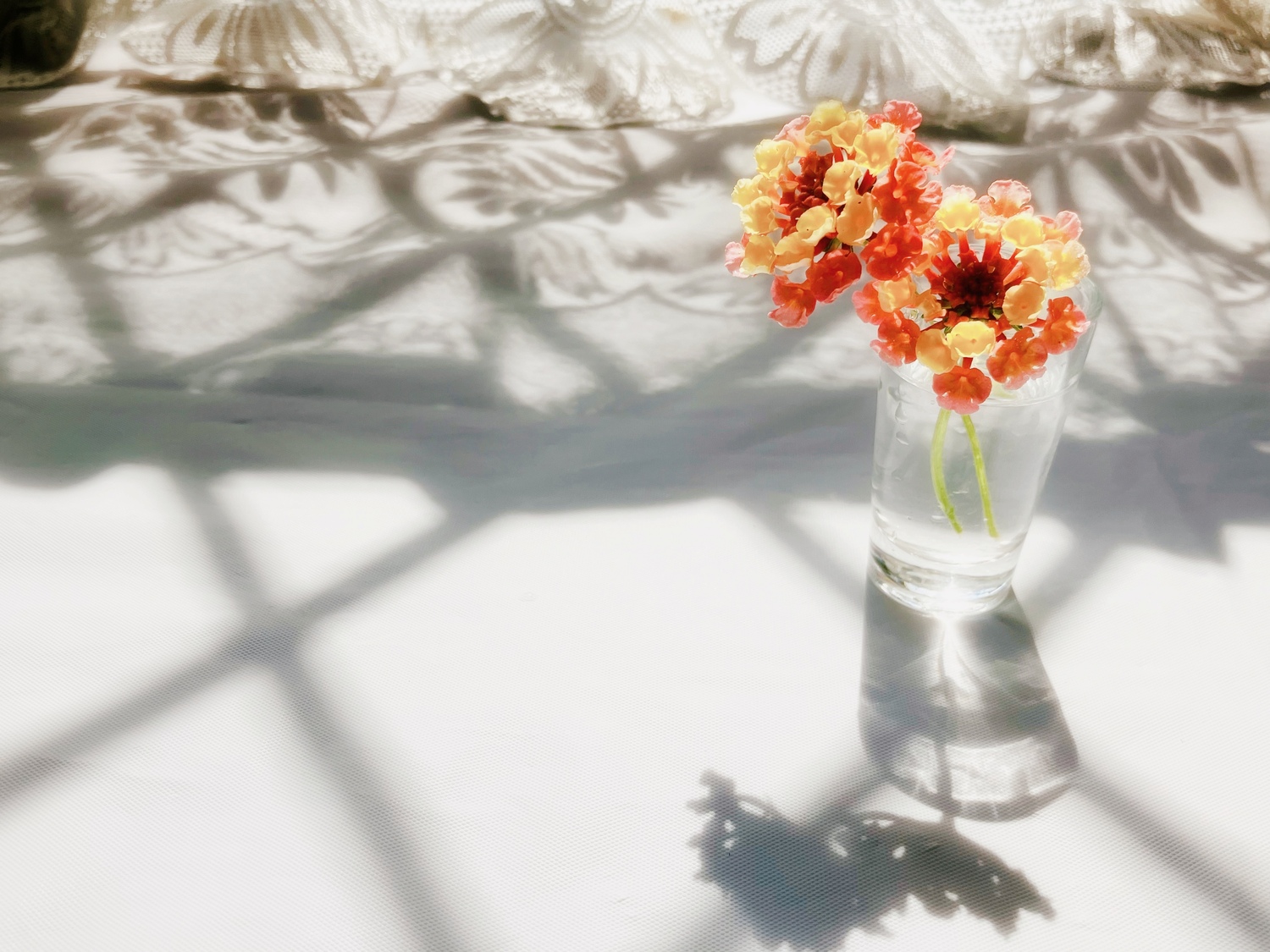 めげずに一歩ずつ前へ