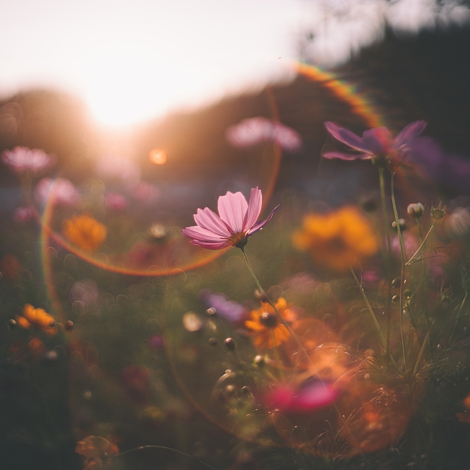 自分の時間、人生は誰のもの？