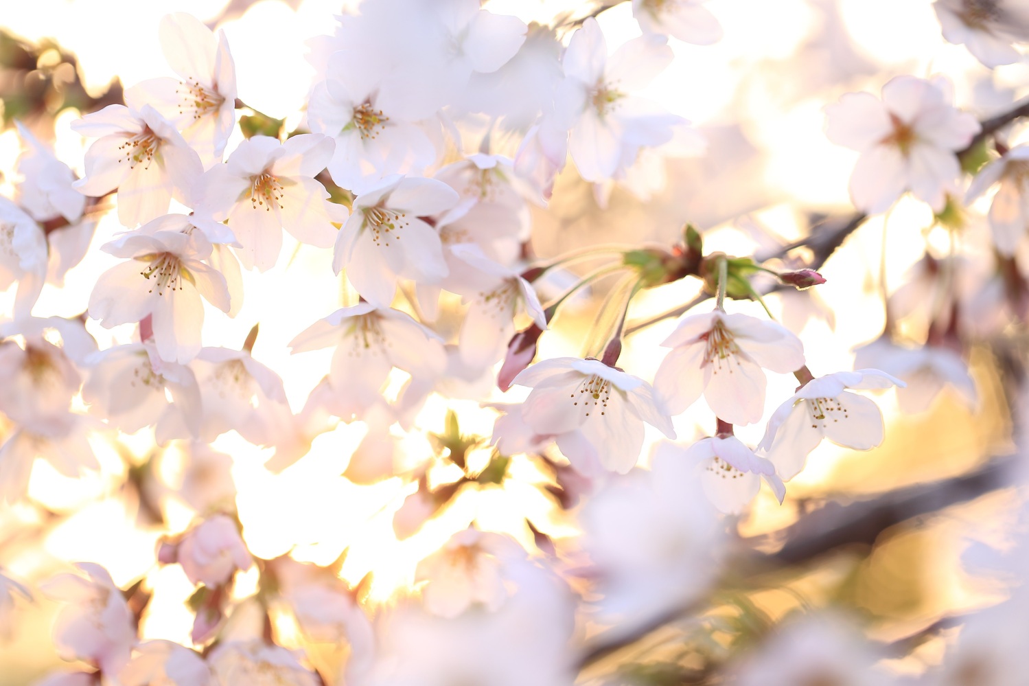 忙しいことは幸せ？