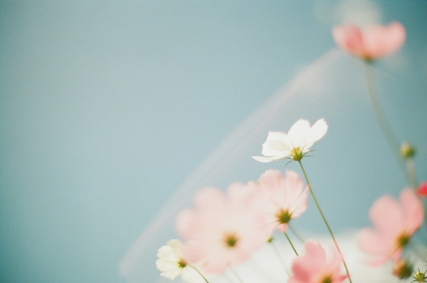 目には見えない物でも幸せを感じることができる