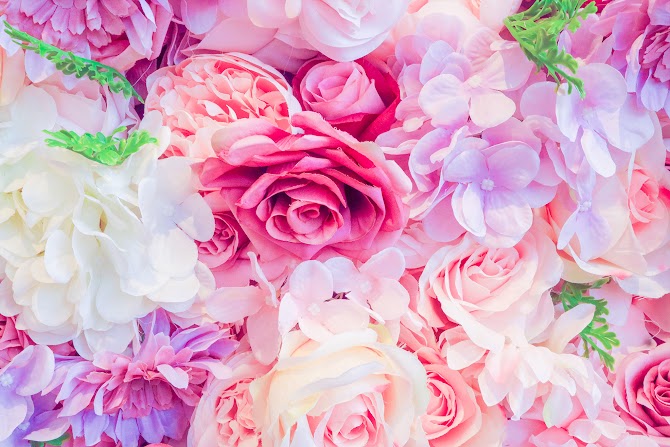 ピンク色の花々