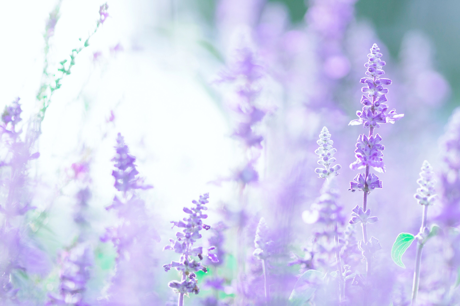 どんな些細なことでも疑問を持ってみると…