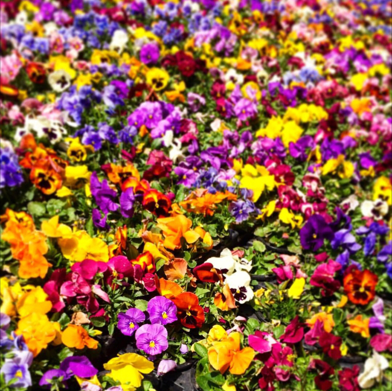 人と関わると、気付けることがある！