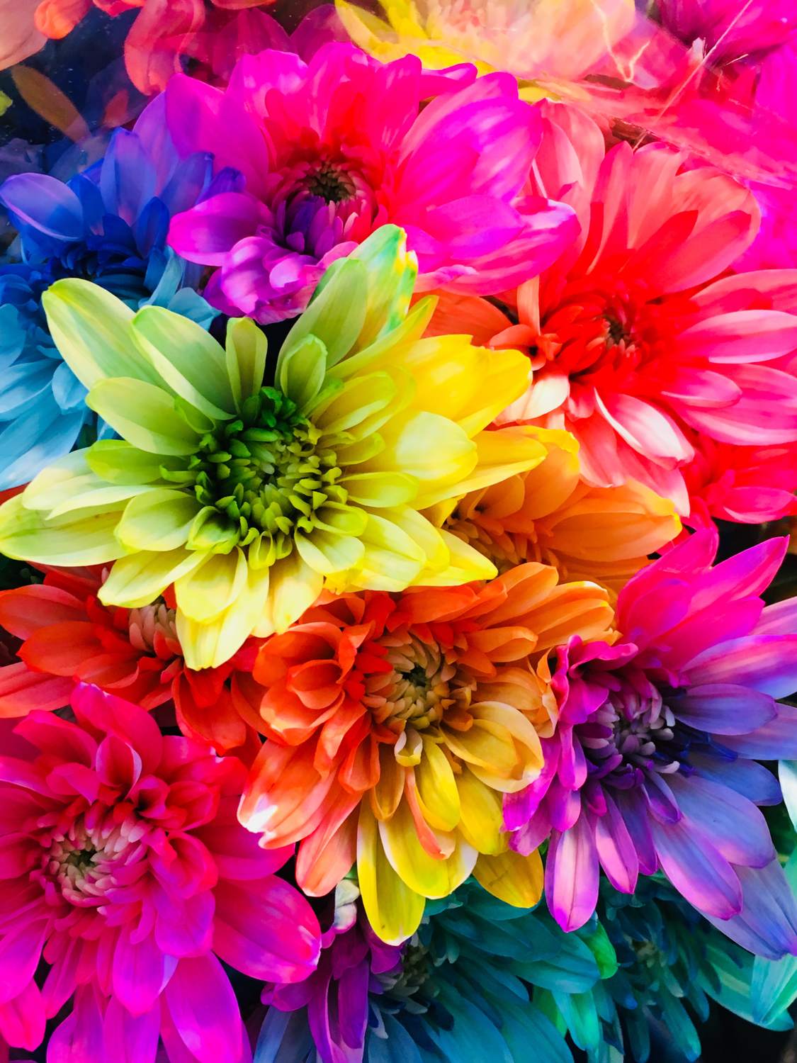 欲張りなのは悪いこと？