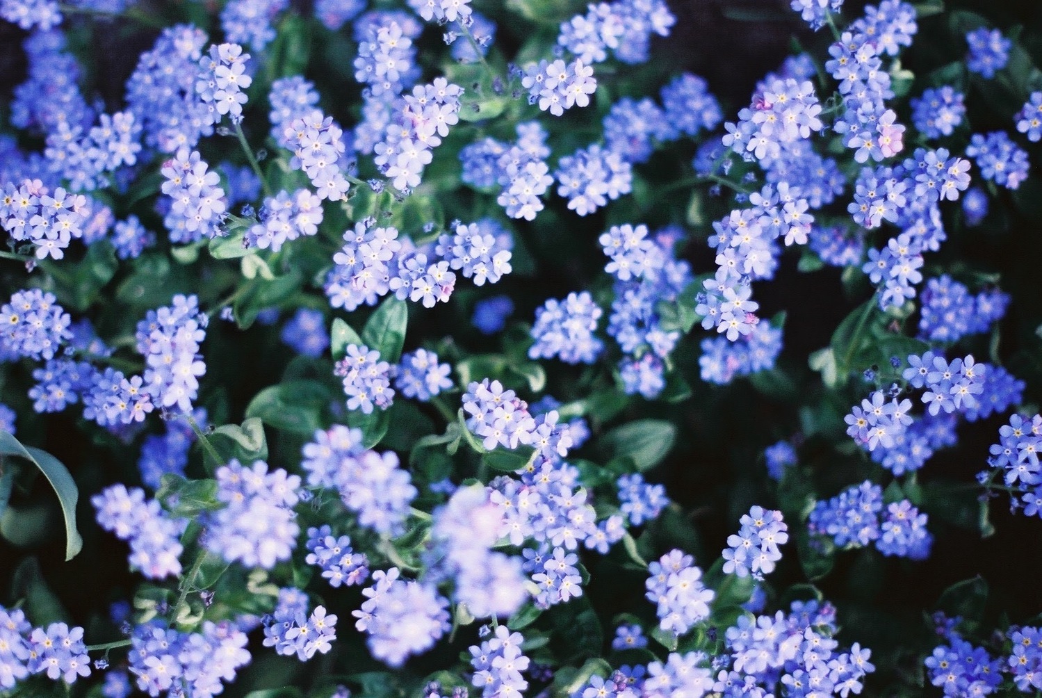 前に歩き続けることを諦めなければ…