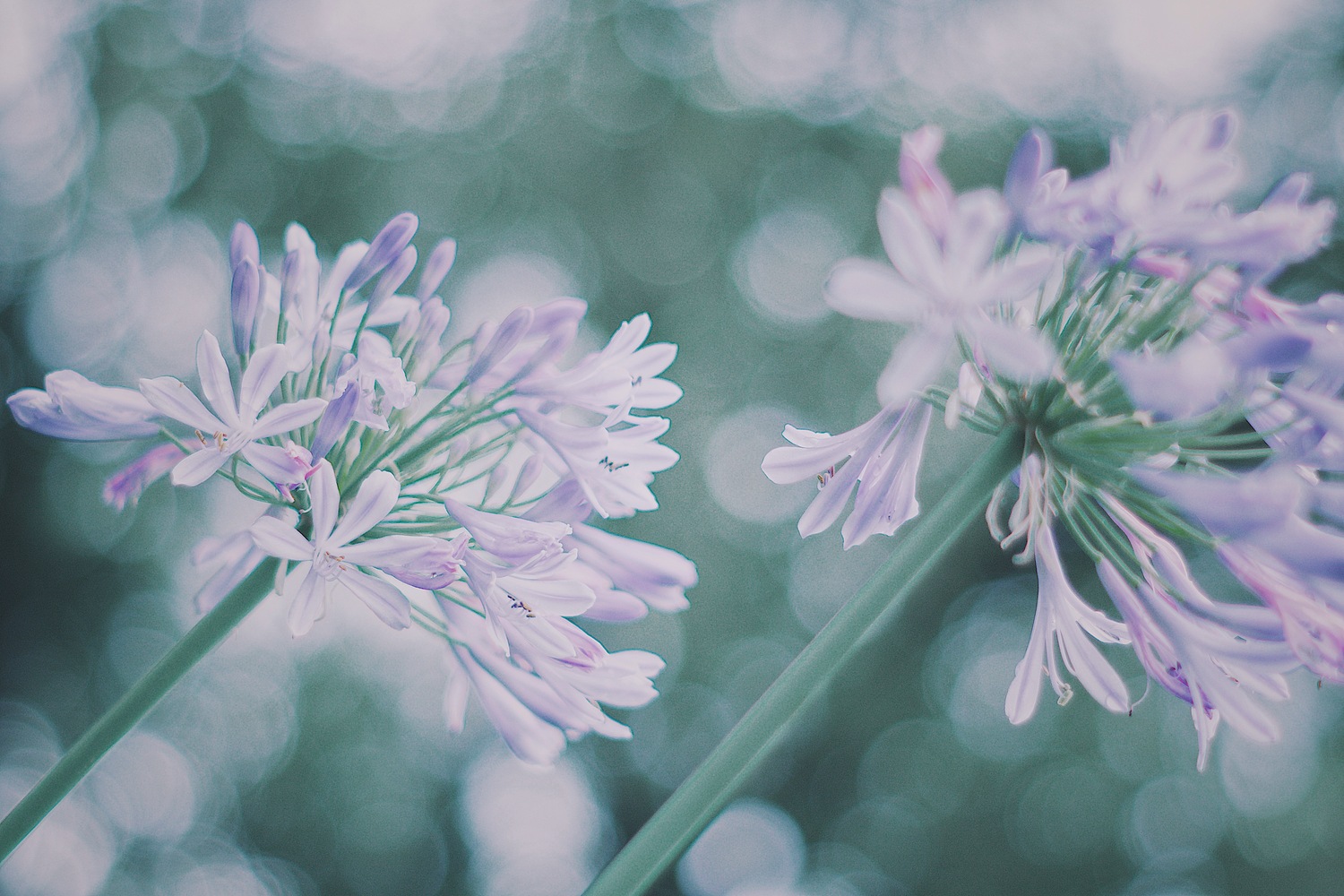 信頼をなくしてしまうかもしれない言葉