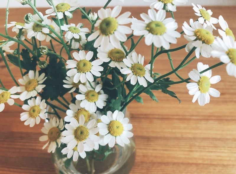 時には弱音を吐いたって良い！