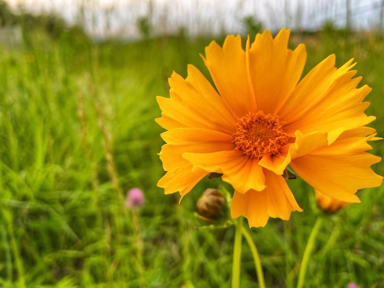 誰かに助けを求める勇気が必要！